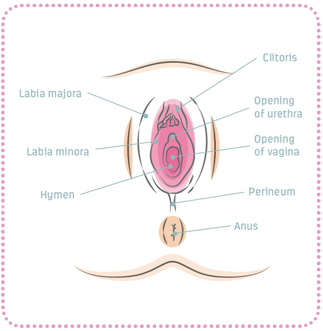 Body Basics